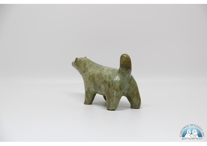 24277 Husky by Nowdlak Lyta