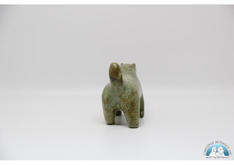 24277 Husky by Nowdlak Lyta