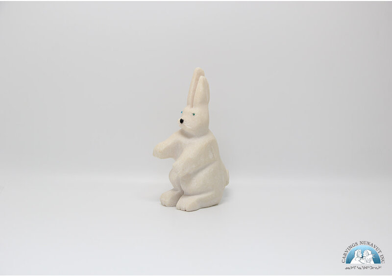 24856 Marble arctic hare by Tommy Kelly