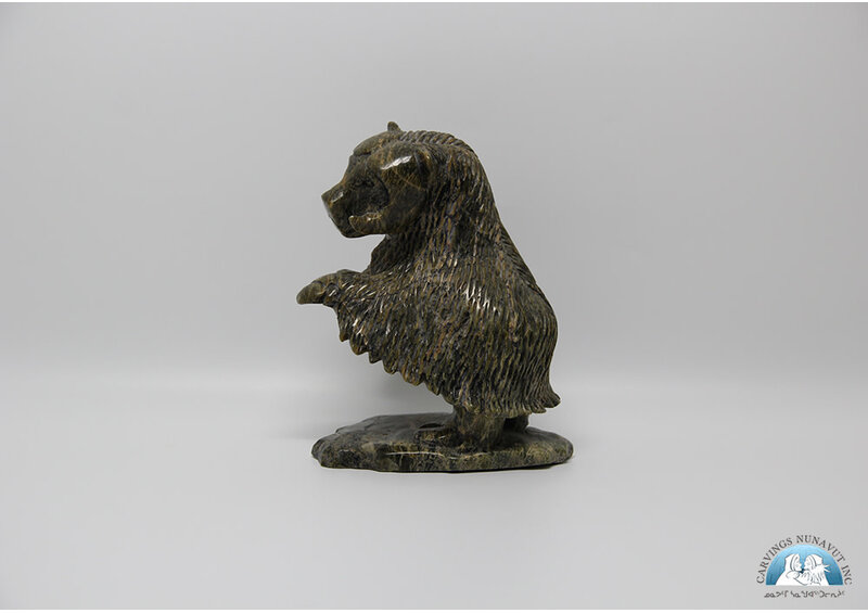 24852 Musk Ox by Kelly Etidiloi