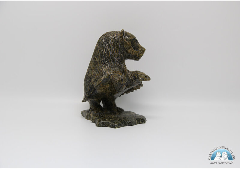 24852 Musk Ox by Kelly Etidiloi