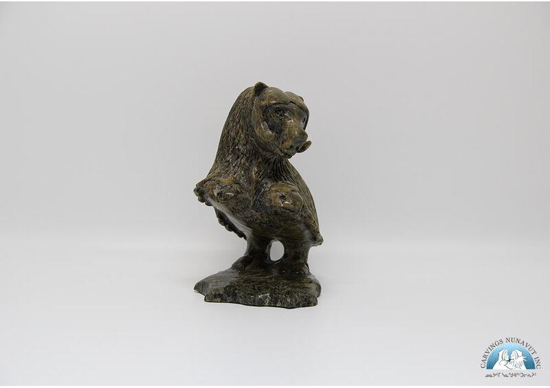 24852 Musk Ox by Kelly Etidiloi