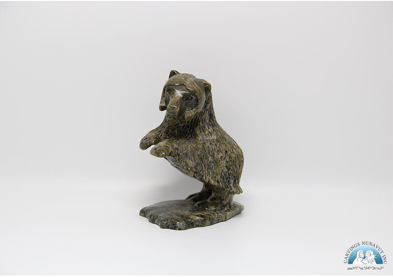 24852 Musk Ox by Kelly Etidiloi