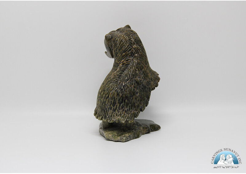 24852 Musk Ox by Kelly Etidiloi