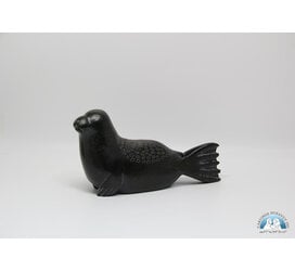 24817 Seal by Elijah Quvinaqtuliaq