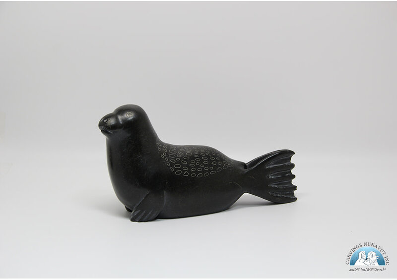 24817 Seal by Elijah Quvinaqtuliaq