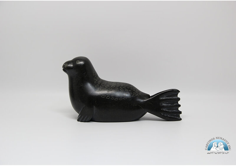 24817 Seal by Elijah Quvinaqtuliaq