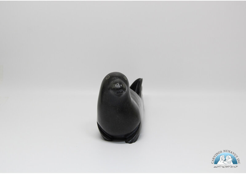 24817 Seal by Elijah Quvinaqtuliaq