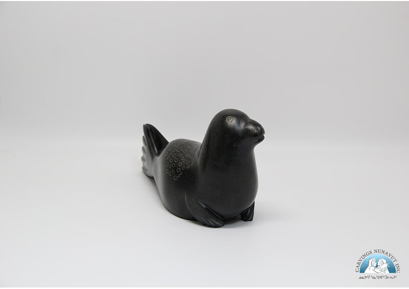 24817 Seal by Elijah Quvinaqtuliaq