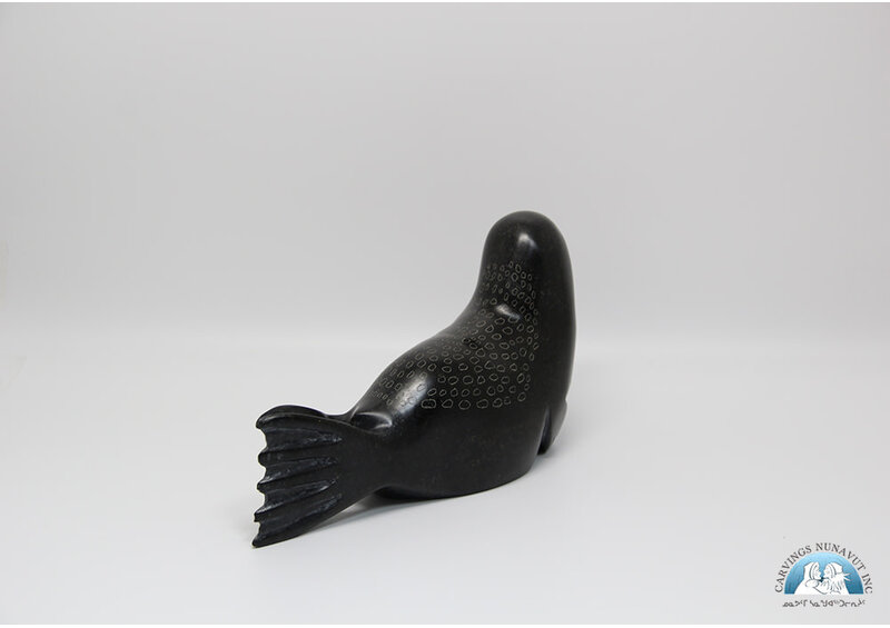 24817 Seal by Elijah Quvinaqtuliaq