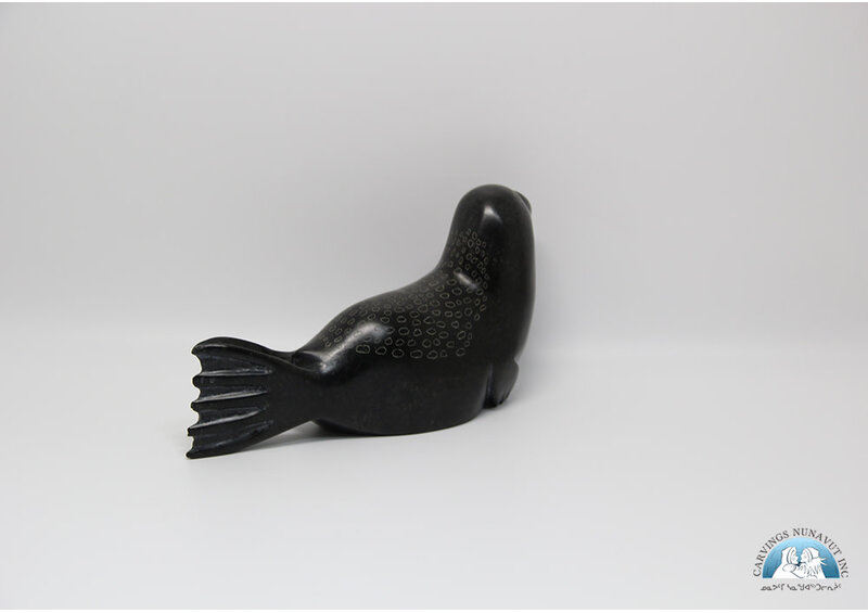 24817 Seal by Elijah Quvinaqtuliaq