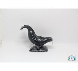 9492 Walrus by Danny Aula