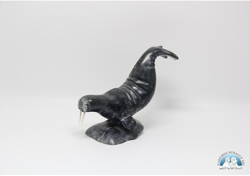 9492 Walrus by Danny Aula