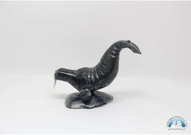 9492 Walrus by Danny Aula