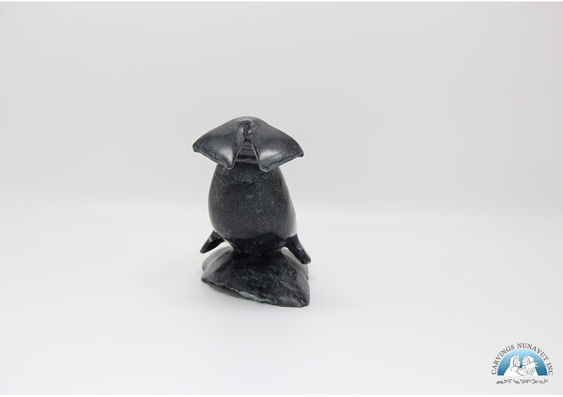 9492 Walrus by Danny Aula