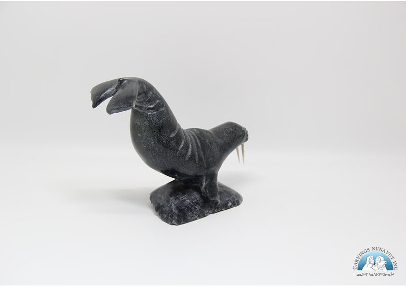 9492 Walrus by Danny Aula