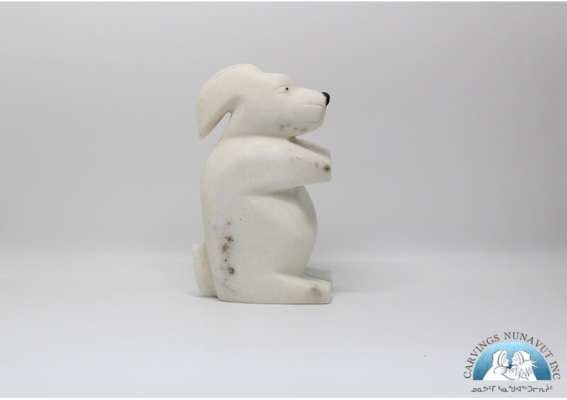 24878 Marble arctic hare by Tommy Kelly