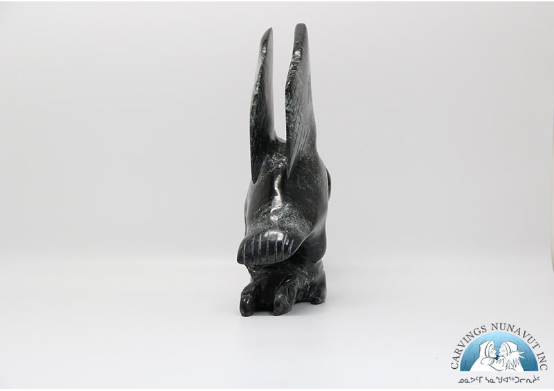 24880 Falcon hunts arctic hare by Kellypalik Ashoona