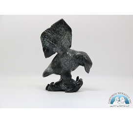 24880 Falcon hunts arctic hare by Kellypalik Ashoona