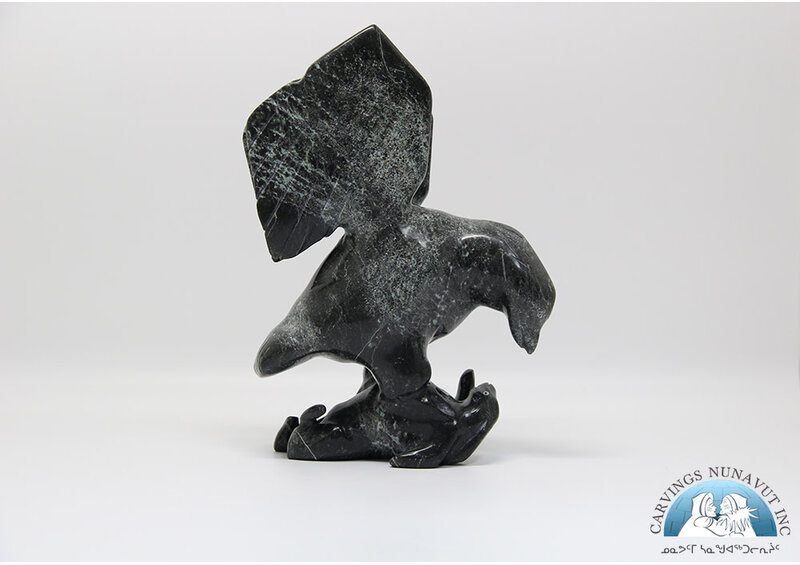 24880 Falcon hunts arctic hare by Kellypalik Ashoona