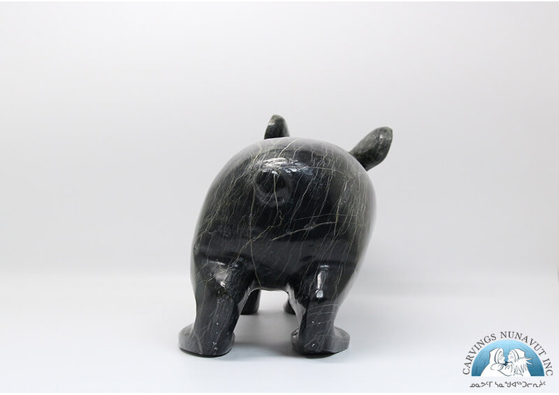 5988 Arctic hare by Pitseolak