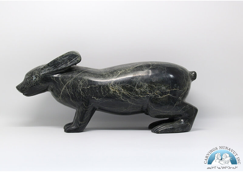 5988 Arctic hare by Pitseolak