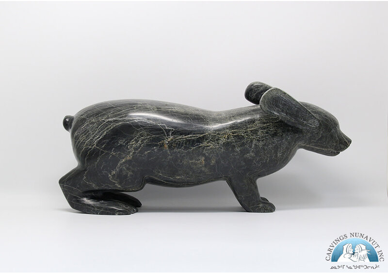 5988 Arctic hare by Pitseolak