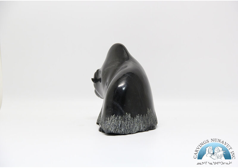 24409 Musk ox by Pudlalik Shaa