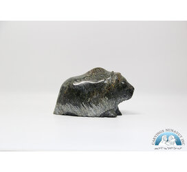 24884 Musk ox by Pudlalik Shaa