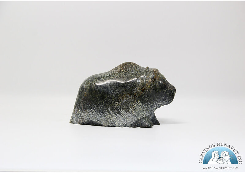 24884 Musk ox by Pudlalik Shaa