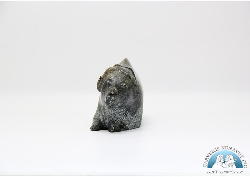 24884 Musk ox by Pudlalik Shaa