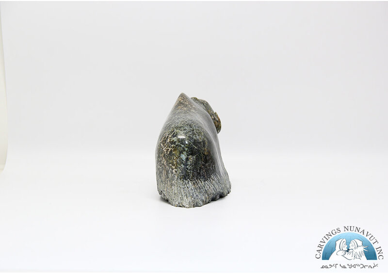 24884 Musk ox by Pudlalik Shaa