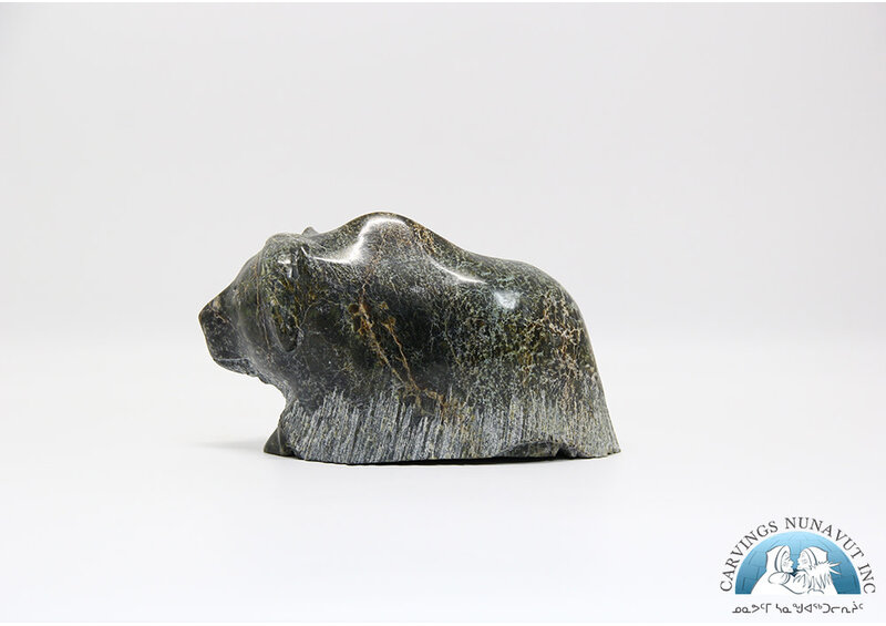 24884 Musk ox by Pudlalik Shaa