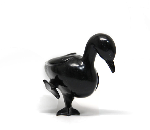 NORTHERN WILDLIFE