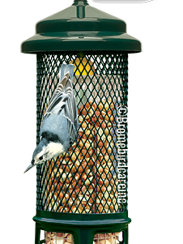 Squirrel Buster Squirrel Buster , Nut feeder, .75L