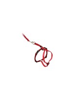 Petsafe Petsafe Côme with me Kitty harnais et laisse bungee pour chat grand rouge