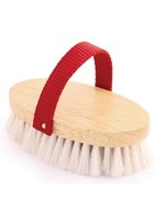 ARIANA Ariana Mini brosse anglais de show