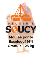 Ecailles d'huîtres 22.68kg S - Boutique Moulée Santé