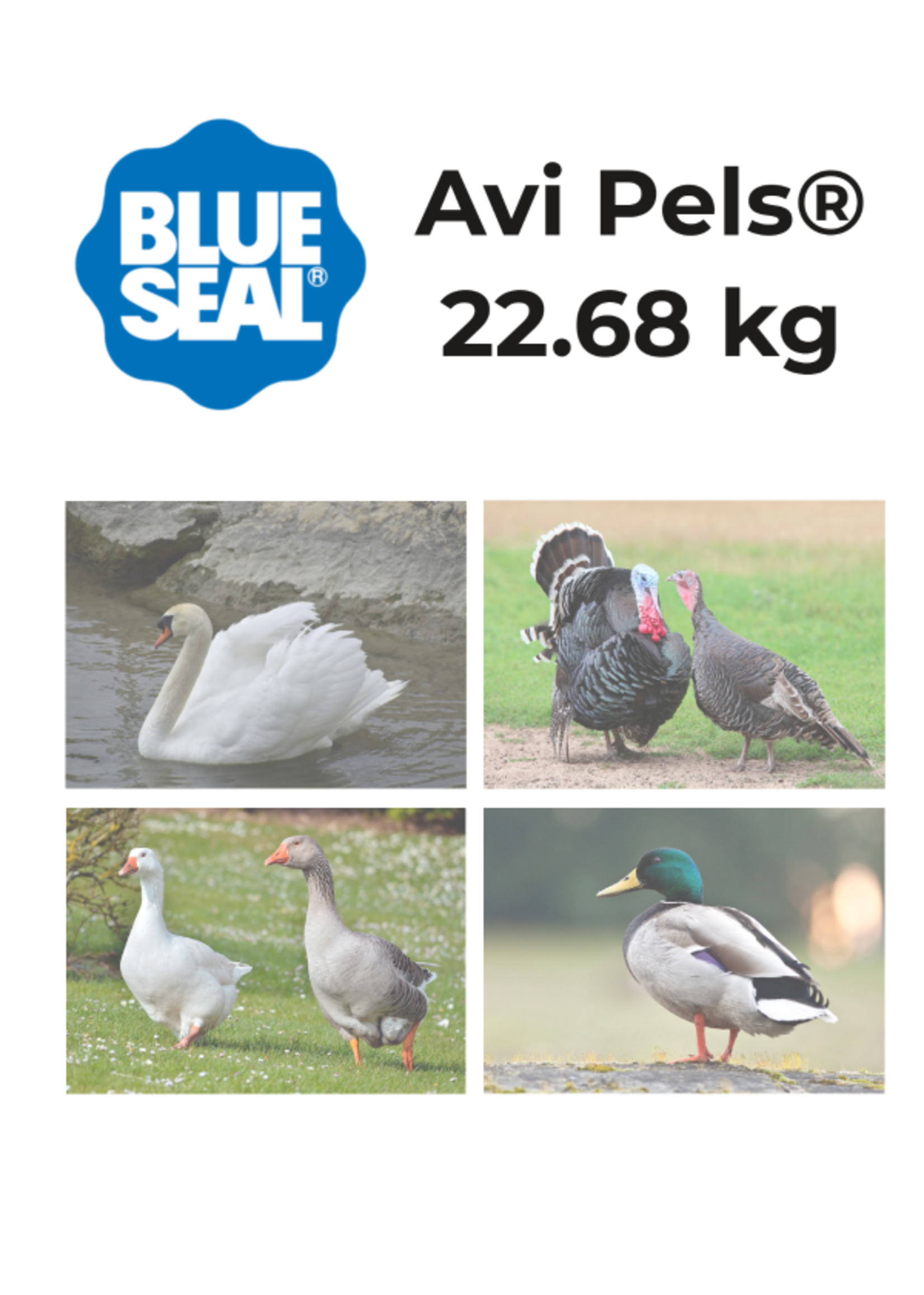 Blue Seal Blue Seal Avi Pels 22.68 kg