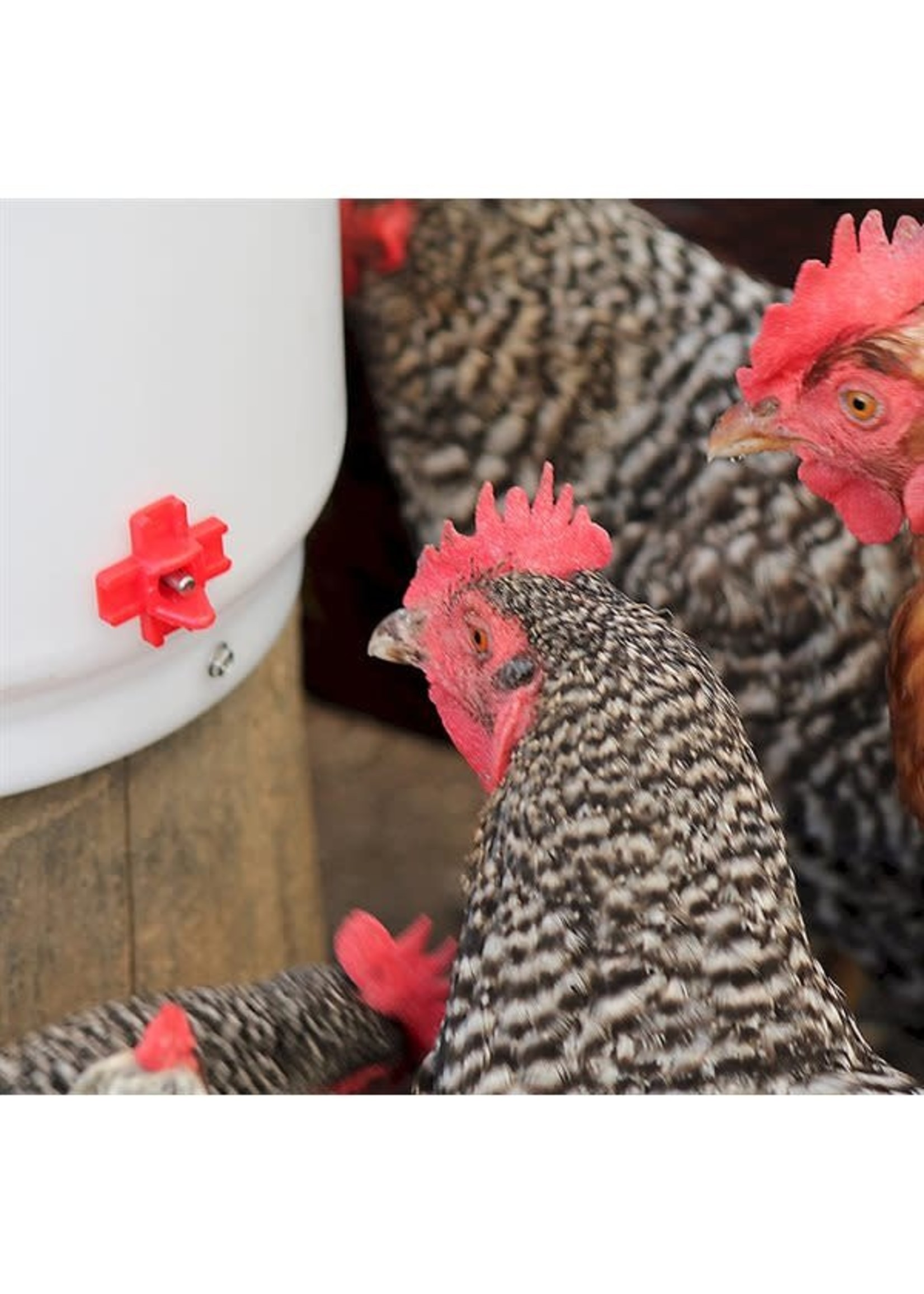 Farm Innovators Abreuvoir chauffant a tétines, 2 gallons (7,5 litres)