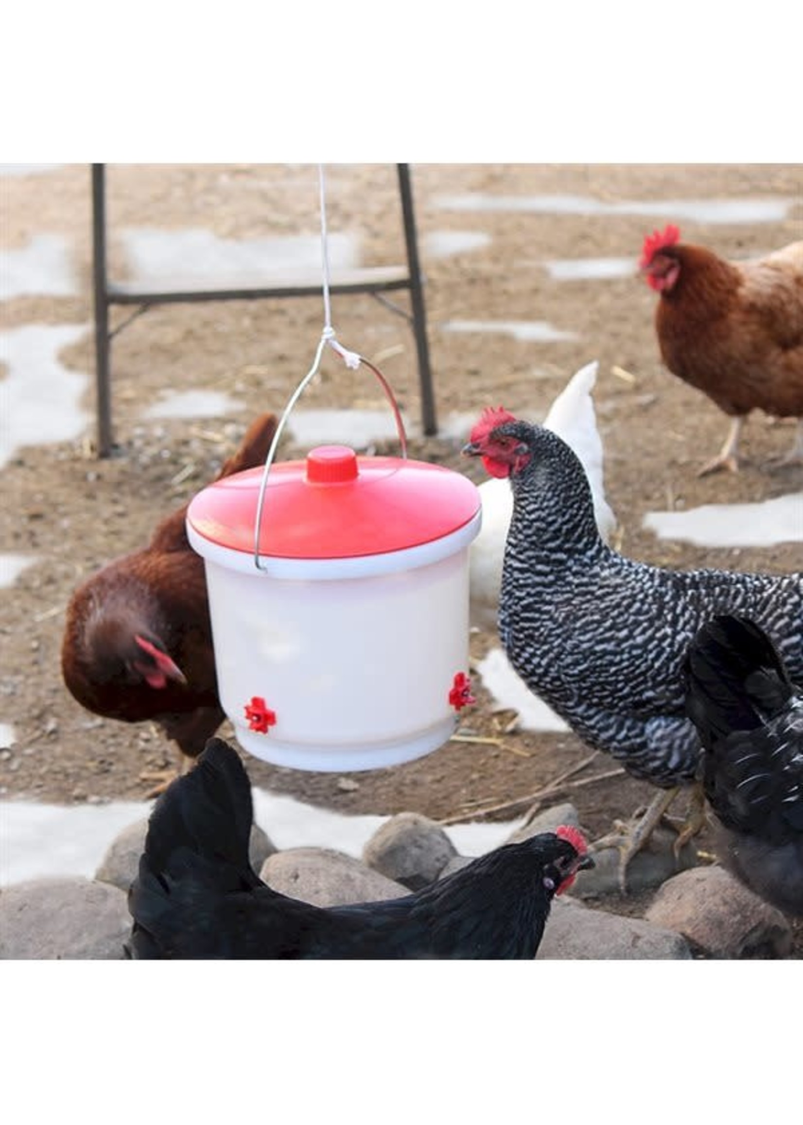 Farm Innovators Abreuvoir chauffant a tétines, 2 gallons (7,5 litres)