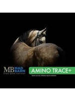 Blue Seal Amino trace + pellets spécifiquement conçu pour les chevaux souffrant de problème métabolique 20 kg