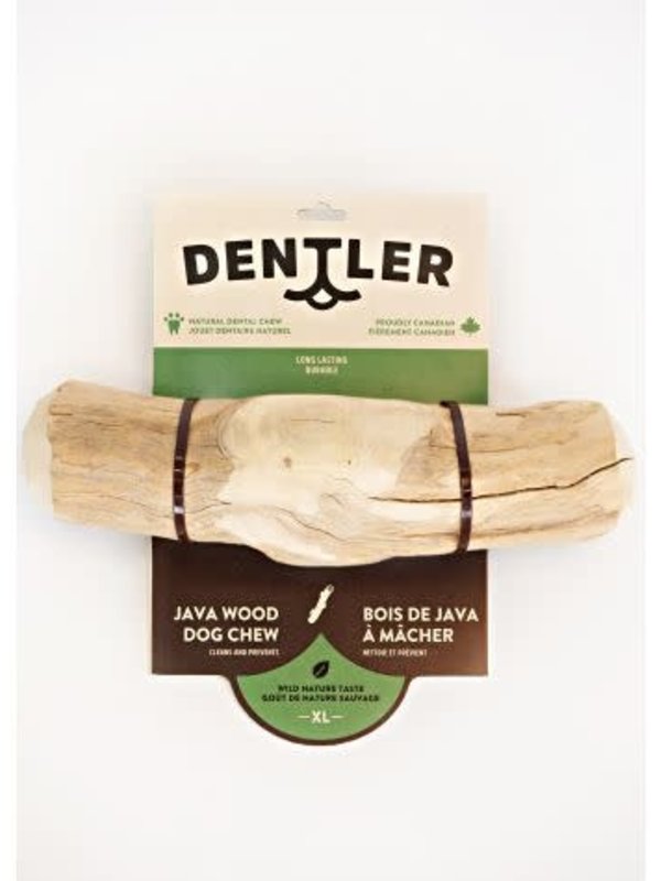 dentler Dentler bois de java - goût de nature sauvage, très grand