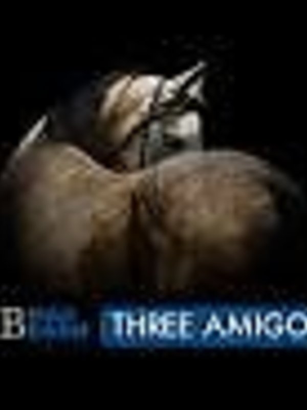 Mad Barn Three Amigos (Lys,Met,Thr) 1 kg mb