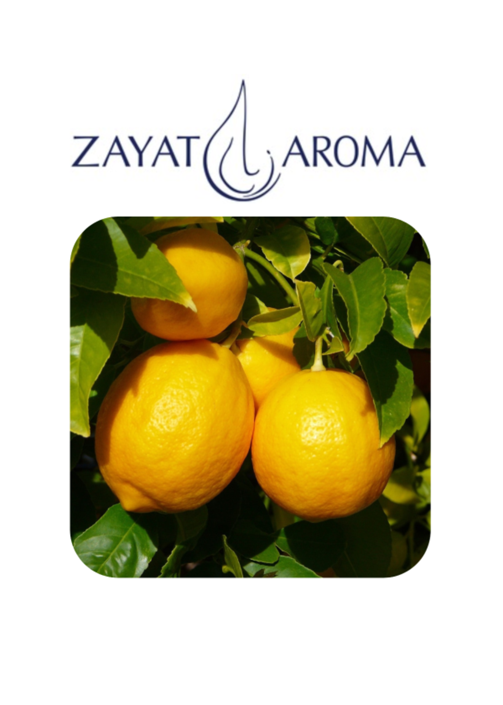 Zayat Citron jaune, biologique Argentine (11ml)