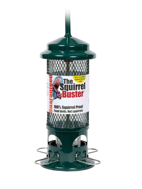 Squirrel Buster Mangeoire Squirrel Buster finch 1.5L