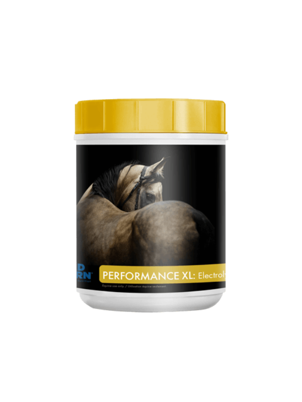 Mad Barn Mad Barn Performance XL : Électrolytes
