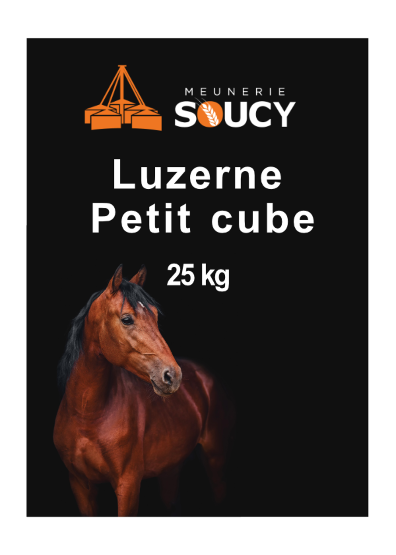 Soucy Soucy Luzerne petit cube 25 kg