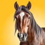 Chevaux