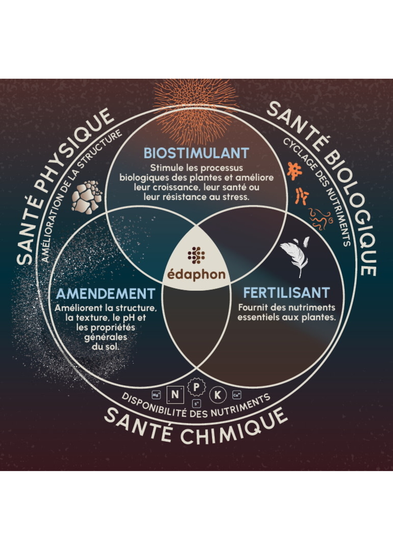 Les jardins de l'écoumène Terreau vivant pour la germination